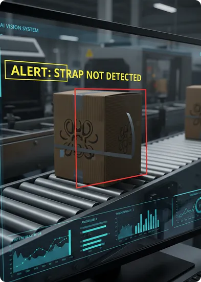 Packaging monitoring system